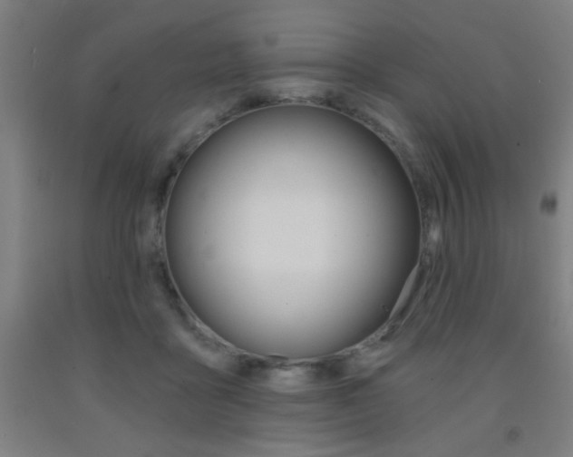 X0000093140411200709261103