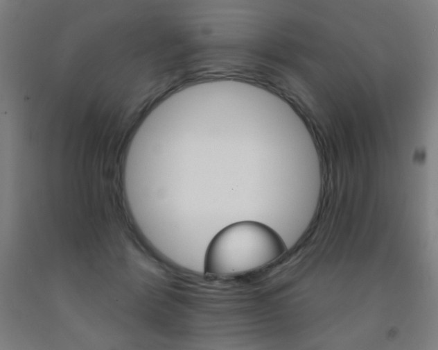 X0000093140412200709261103