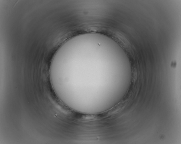 X0000093140414200709261103