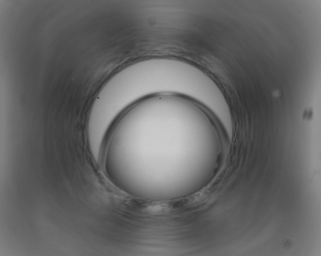 X0000093140415200709261103