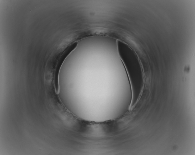 X0000093140417200709261102