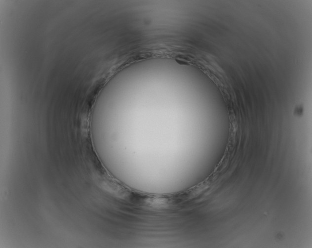 X0000093140419200709261102