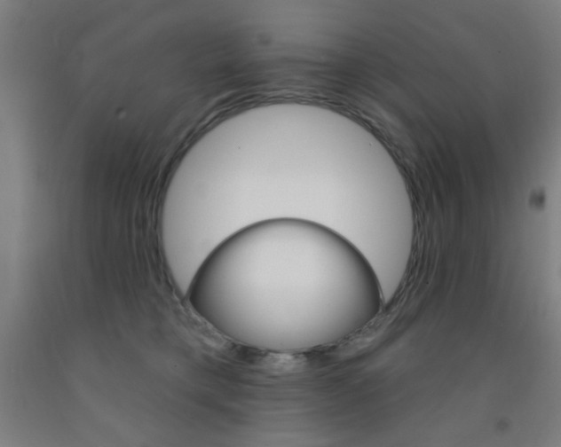 X0000093140421200709261102
