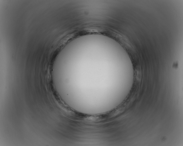 X0000093140422200709261102