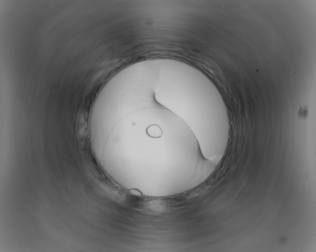 X0000093140423200709261102