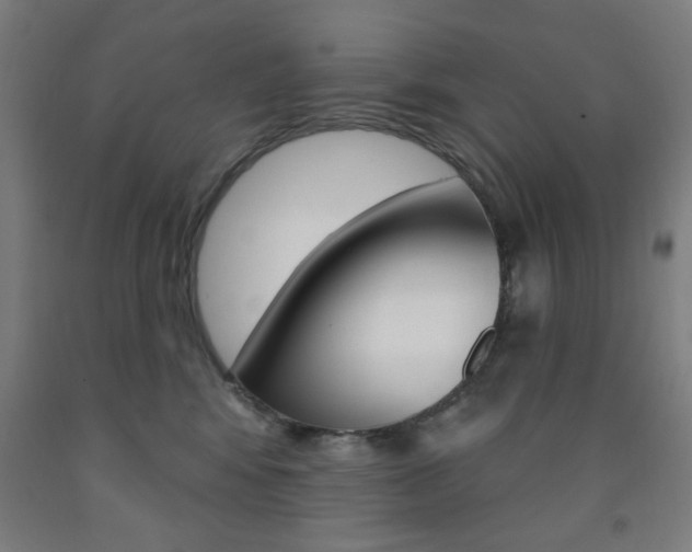 X0000093140424200709261102