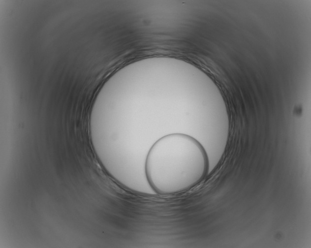X0000093140425200709261102