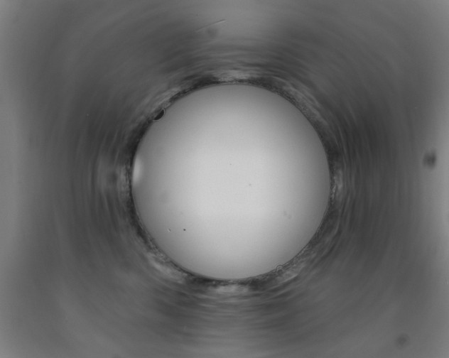 X0000093140426200709261102