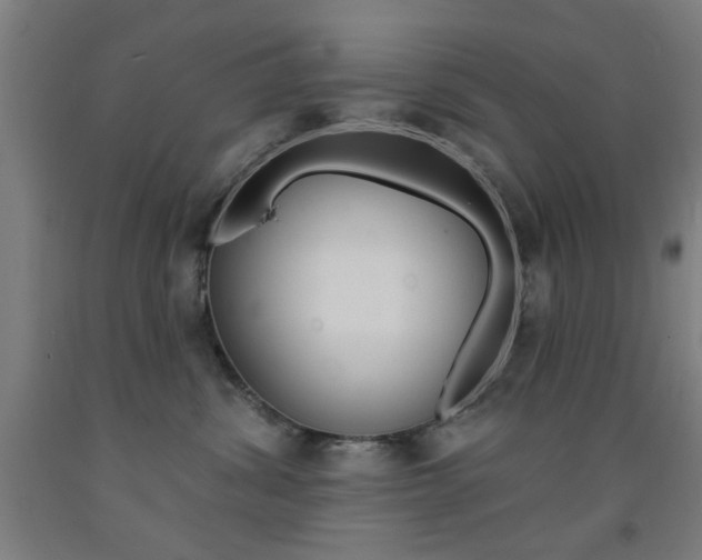 X0000093140428200709261102
