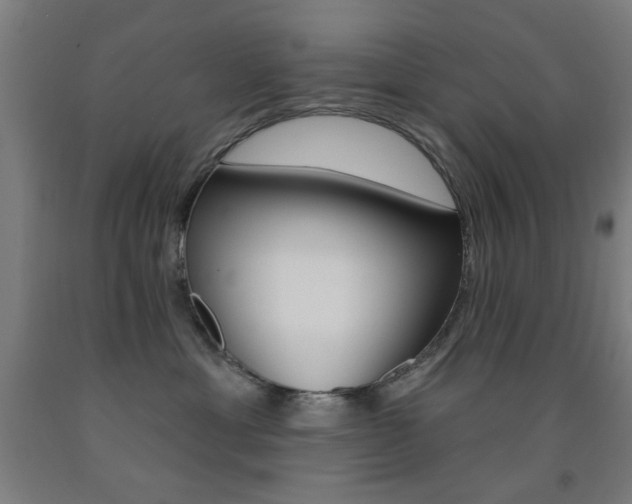 X0000093140429200709261102
