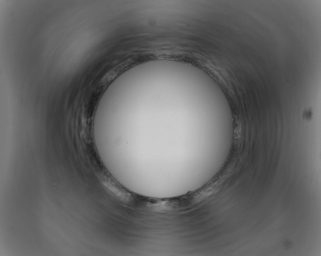 X0000093140430200709261102