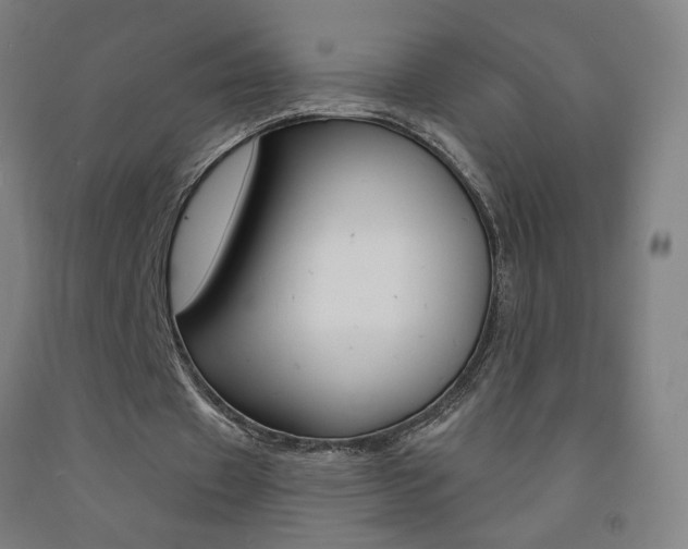 X0000093140433200709261102