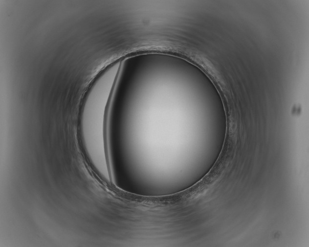 X0000093140434200709261102