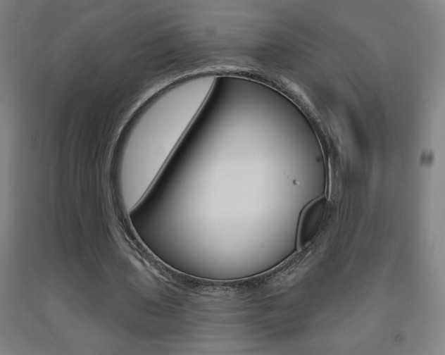 X0000093140435200709261102