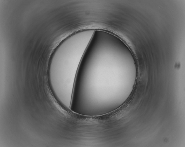X0000093140437200709261102