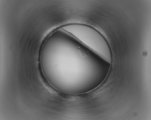 X0000093140438200709261102