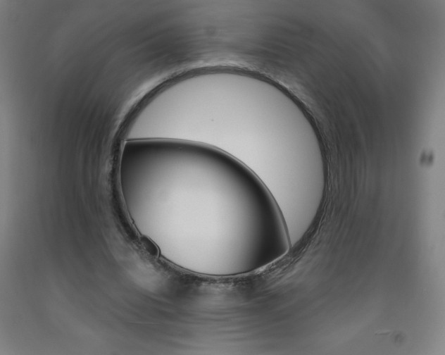 X0000093140440200709261102