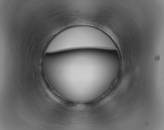 X0000093140441200709261102