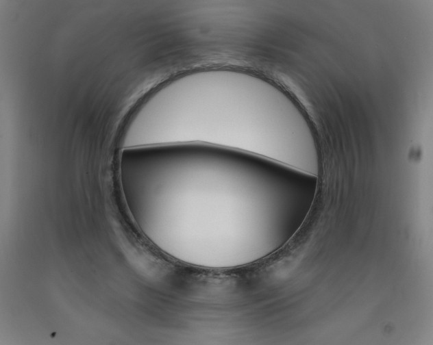 X0000093140443200709261102