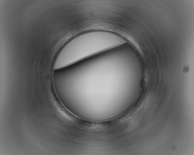 X0000093140445200709261102