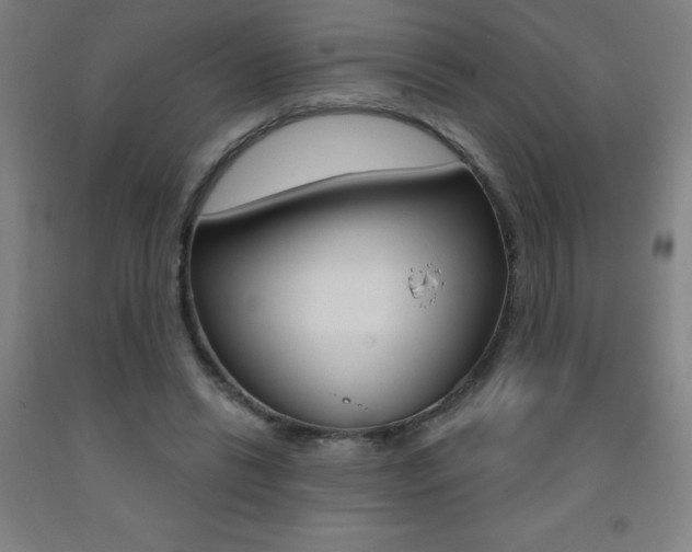 X0000093140446200709261102