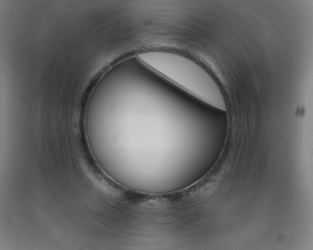 X0000093140447200709261102