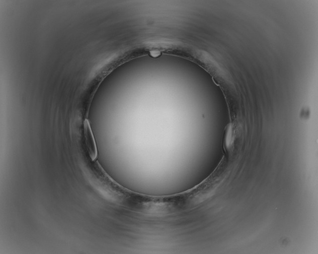 X0000093140448200709261102