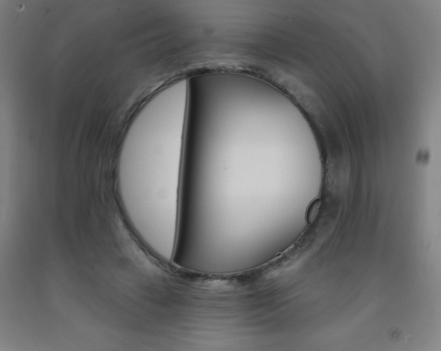 X0000093140449200709261102