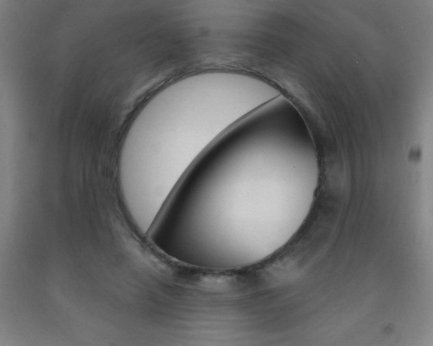 X0000093140450200709261102