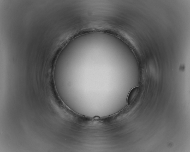 X0000093140451200709261102