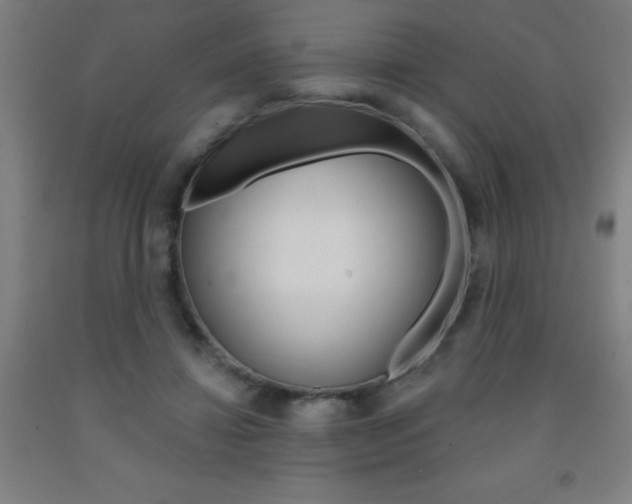 X0000093140452200709261102