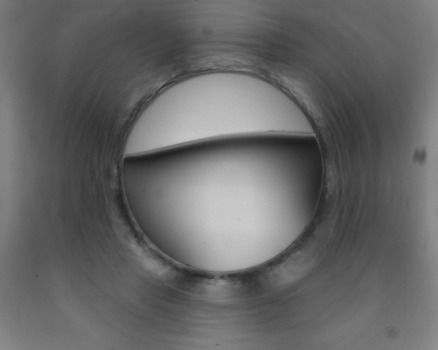 X0000093140453200709261102