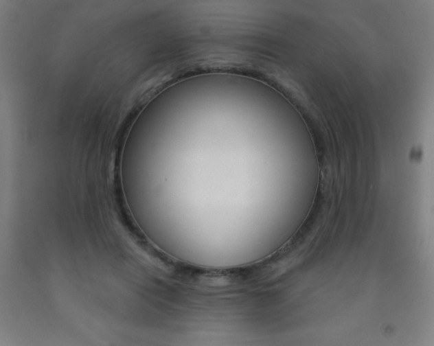 X0000093140454200709261102
