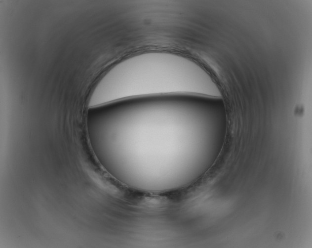 X0000093140455200709261102