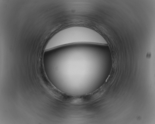X0000093140456200709261102