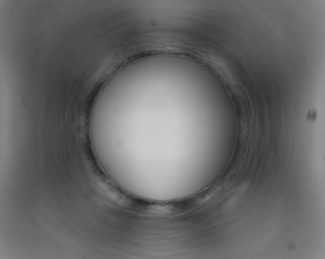 X0000093140457200709261102