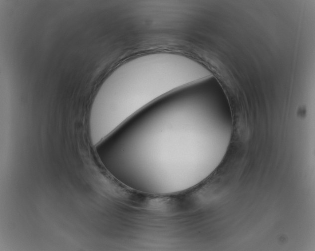 X0000093140461200709261102