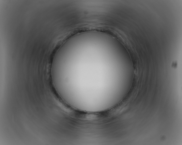 X0000093140462200709261102