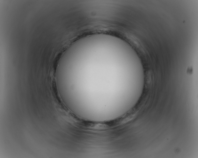 X0000093140463200709261102