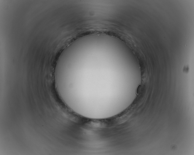 X0000093140464200709261102