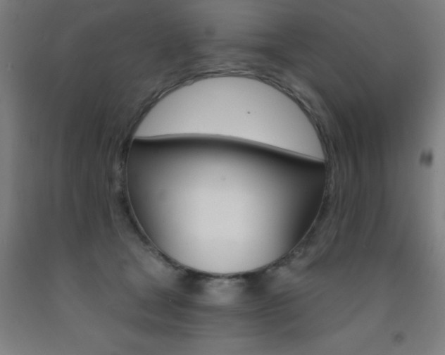 X0000093140465200709261102