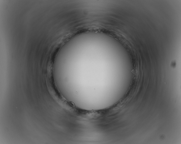 X0000093140468200709261102