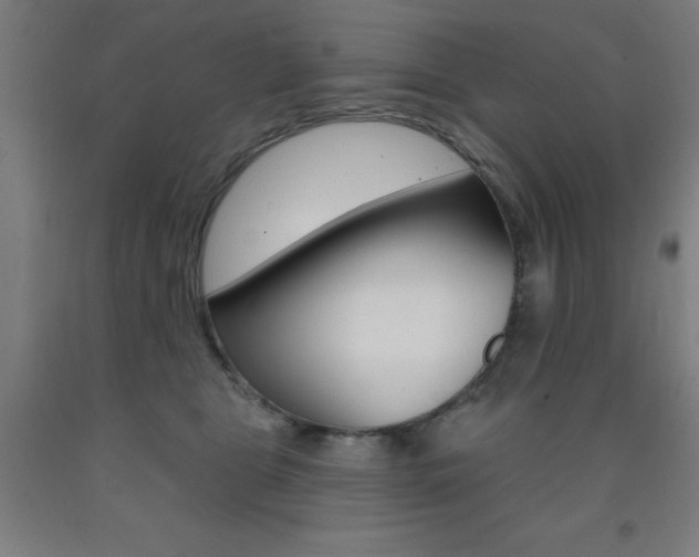 X0000093140469200709261102