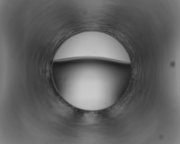 X0000093140470200709261102