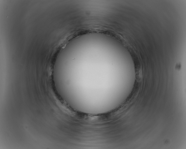 X0000093140472200709261102