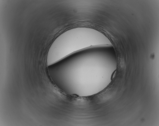 X0000093140475200709261102