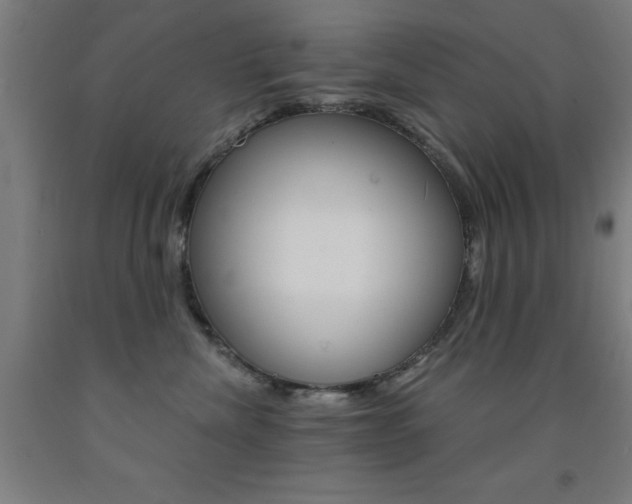 X0000093140476200709261102