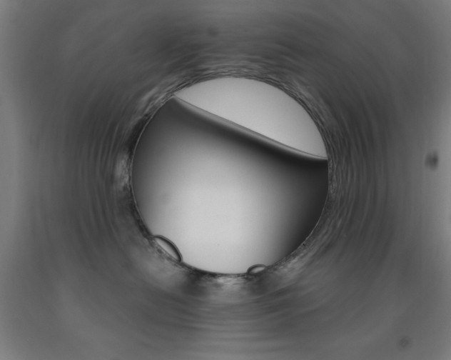 X0000093140478200709261102
