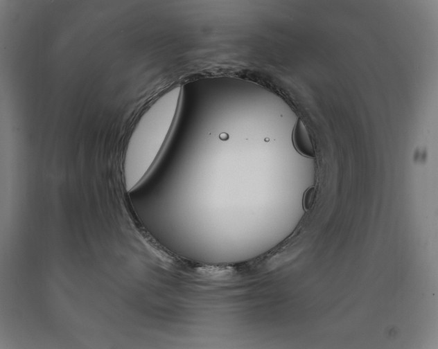 X0000093140480200709261102