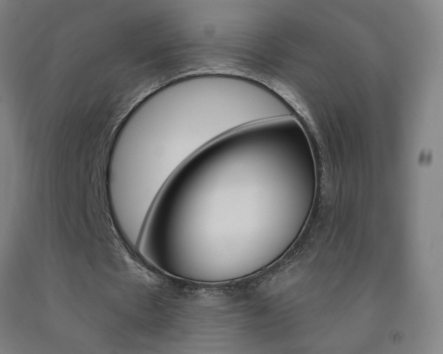 X0000093140481200709261102